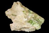 Yellow-Green Fluorapatite Crystals in Calcite - Ontario, Canada #137114-2